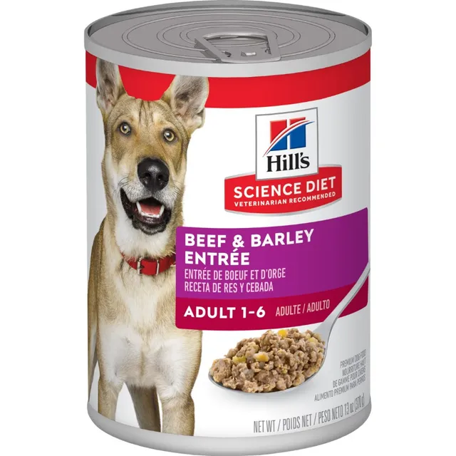 Adult Beef & Barley 13 Oz