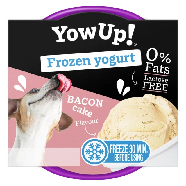Frozen Yogurt Bacon Cake 110G