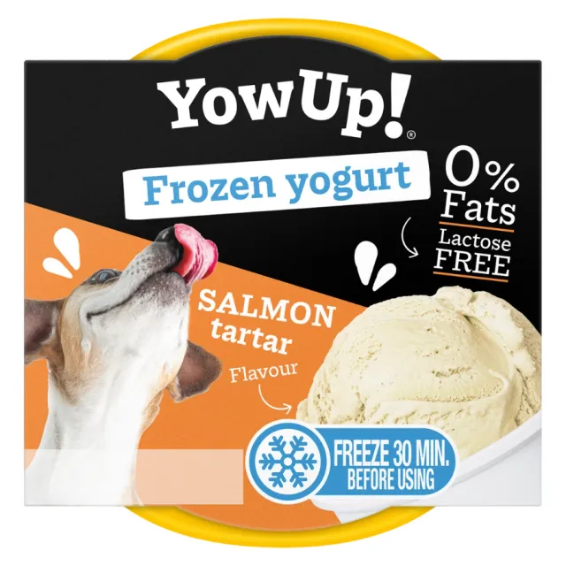 Frozen Yogurt Salmon Tartar 110G