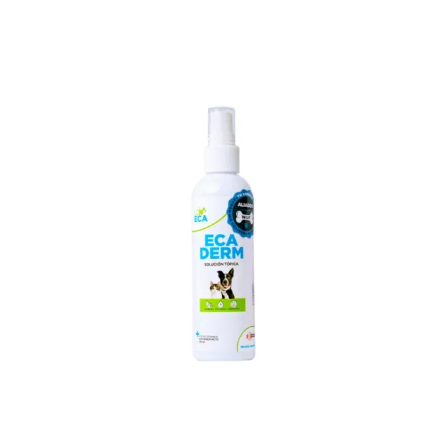 Antibacterial Ecaderm 1 Spray x 120 Ml