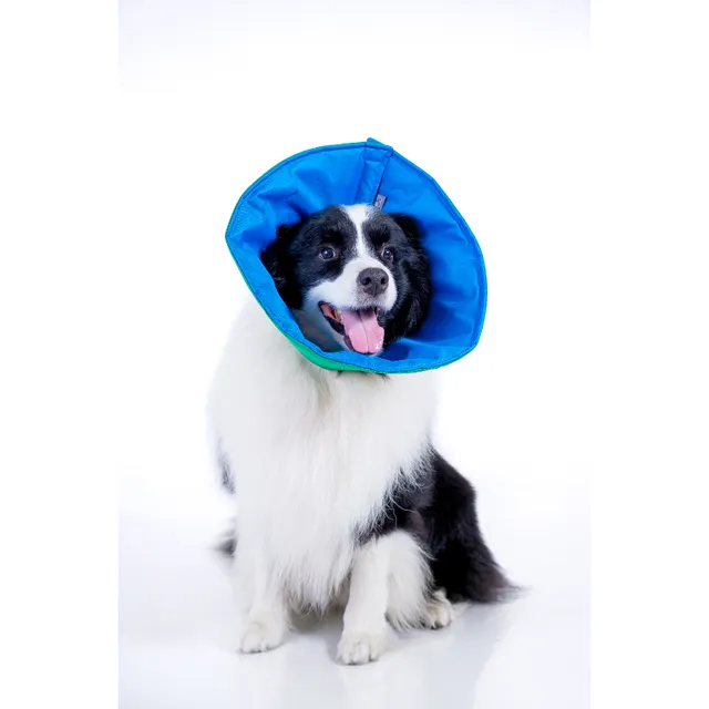 Lmb collar Isabelino recoverypet Talla XS