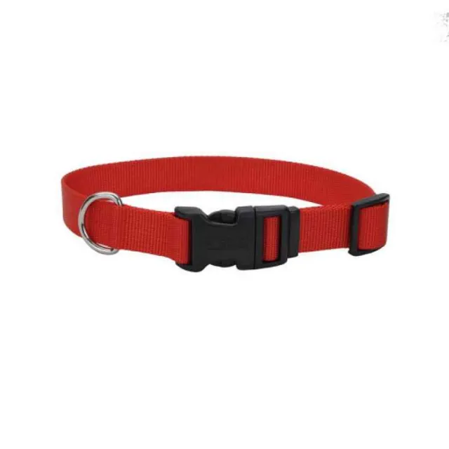 Coastal Collar Nylon Large 1" X 26' Rojo