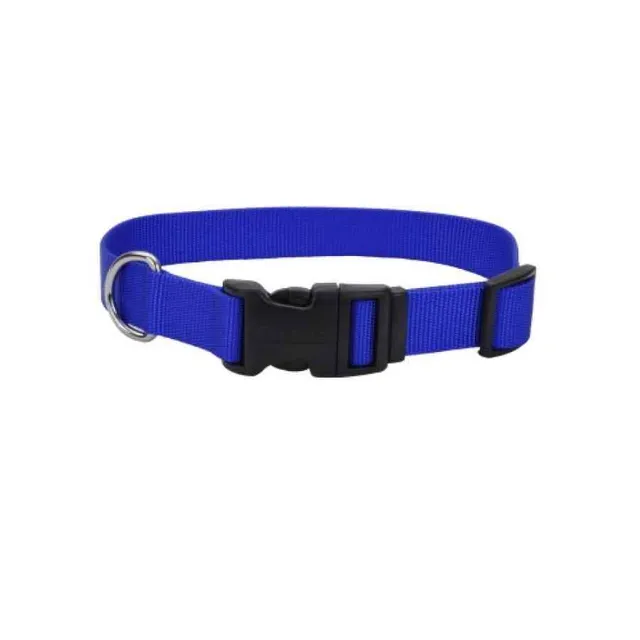 Coastal Collar Nylon Xsmall 3/8" X 12' Azul