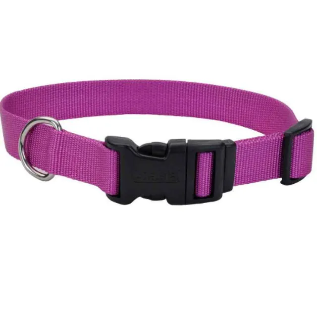 Coastal Collar Perro 5/8" Tuff Collar 6401 ORD14