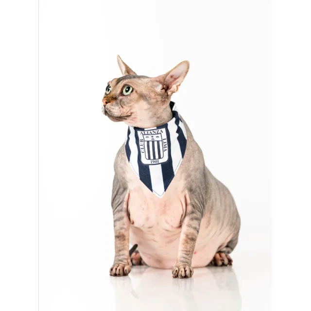 Bandana Oficial Colección 2026 Alianza Lima Talla M