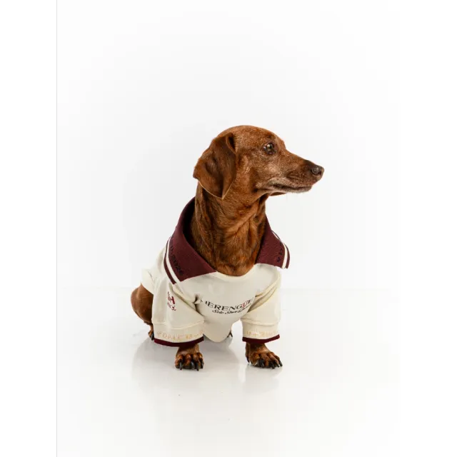 Camiseta Oficial Colección 2026 Universitario Talla 2
