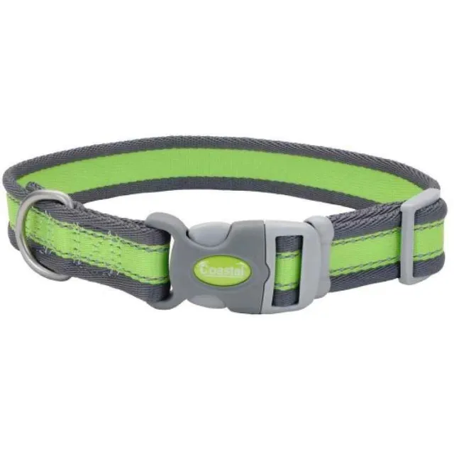Coastal Collar Ajustable y reflectivo 1.90cm Ancho x 25 35cm Largo