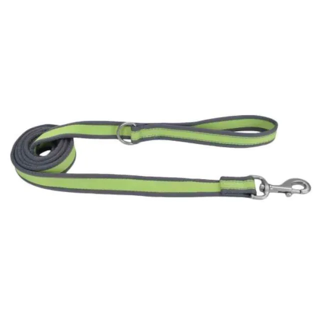 Pet Attire Pro Correa Reflectante 1" Gwc (12926 GWG06)