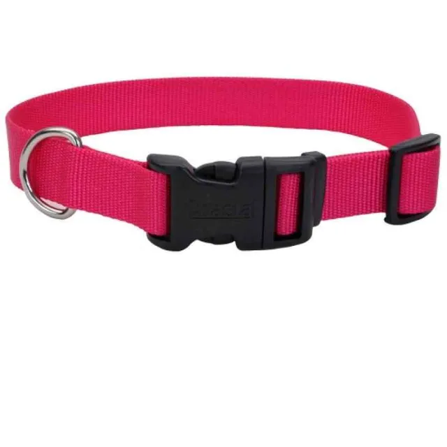 Coastal Collar con Hebilla de plastico 3/4" Bkl (6601 PKF20)