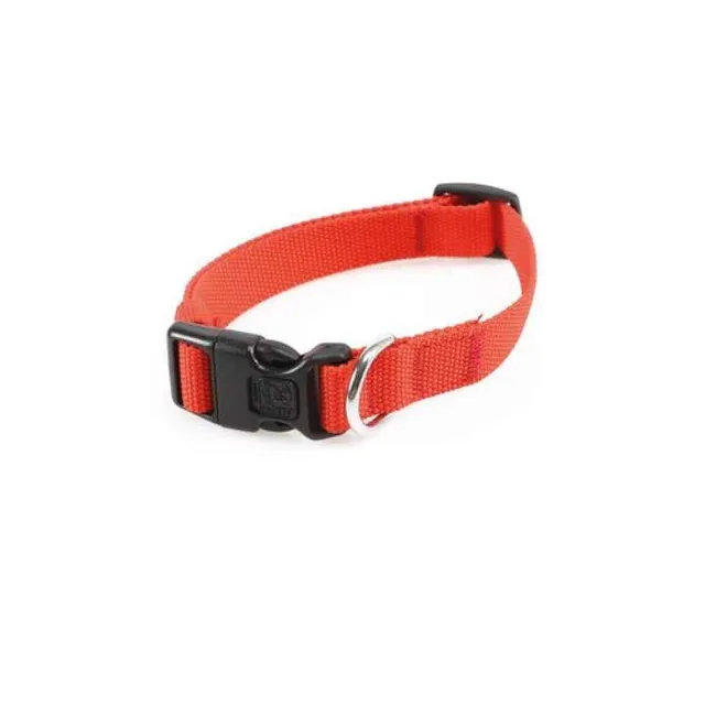 Jolly eco collar rojo tall m