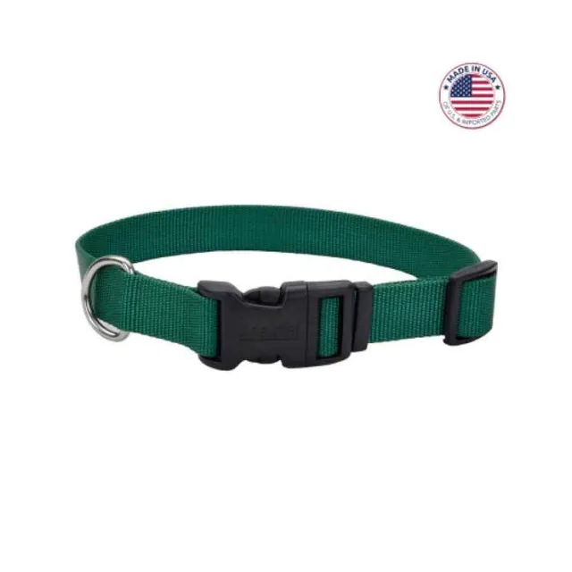 Coastal Adjustable Dog Collar With Plastic Buckle, Hunter Talla L
