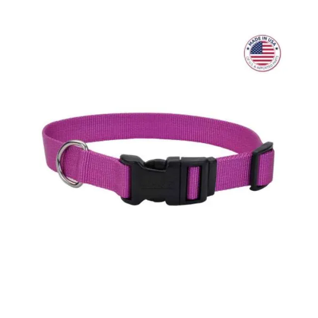 Coastal Adjustable Dog Collar With Plastic Buckle, Orchid, Large 1" X 18" 26"