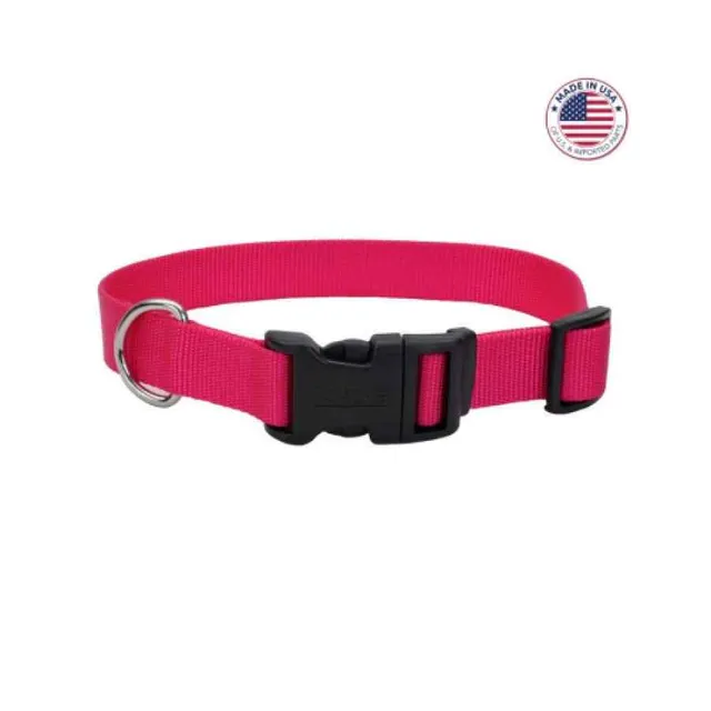 Coastal Adjustable Dog Collar With Plastic Buckle, Pink Flamingo, Large 1" X 18" 26"