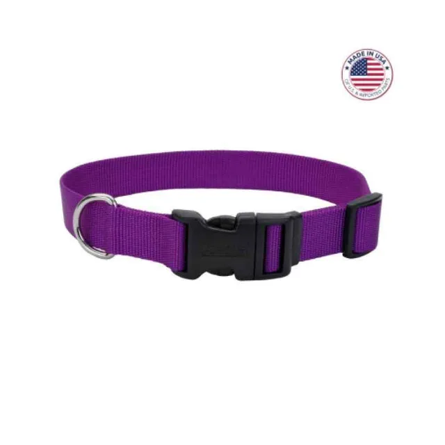 Coastal Adjustable Dog Collar With Plastic Buckle, Purple Talla L