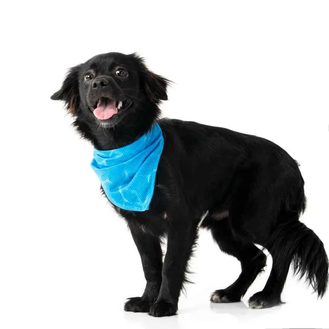 Flamingo Bandana Refrigerante Fresk Inou Azul Talla M