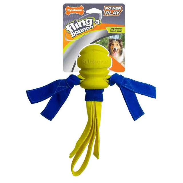 Nylabone Power Play Fling A Bounce