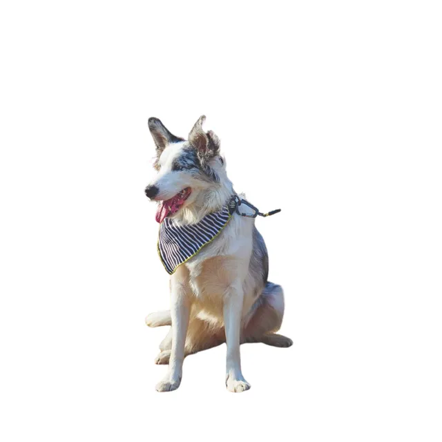 Mpets wild safari bandana Talla S