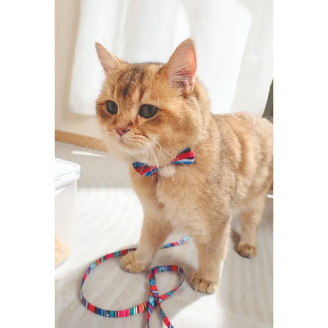 Mpets Urban Style Jazz Stripes Corbata Michi Talla L