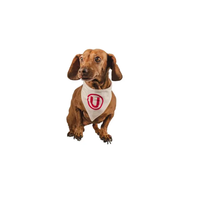 Bandana reversible oficial universitario Talla XL