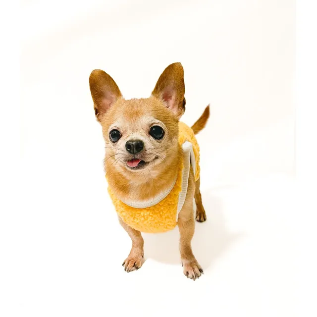 Lmb sweater pet Talla 7