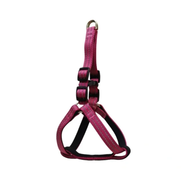Gotoo! Arnés Reflectante Premium Rosado Talla XS