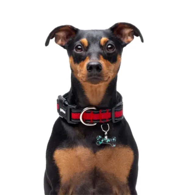 Gotoo! Collar De Malla Rojo Talla M