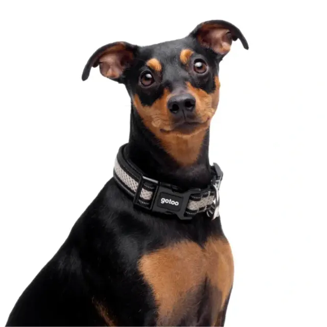 Gotoo! Collar De Malla Gris Talla L