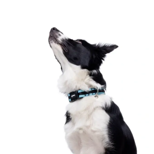 Gotoo! Collar De Malla Turquesa Talla M