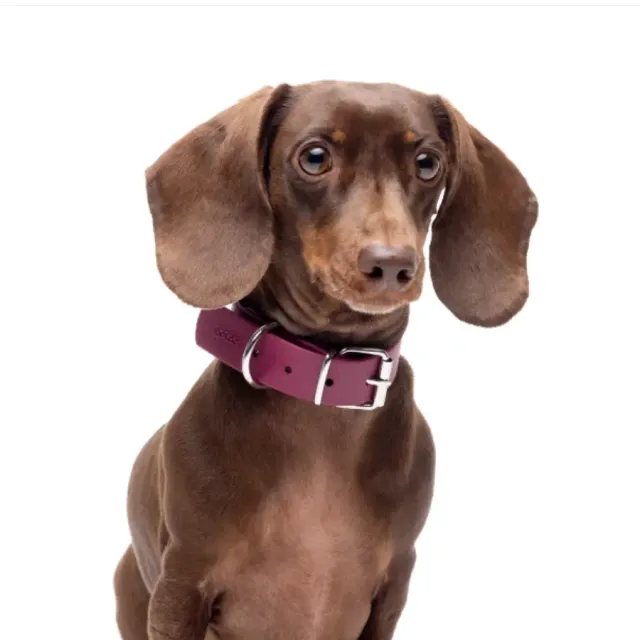 Gotoo! Collar Vino Deluxe Biothane Talla S