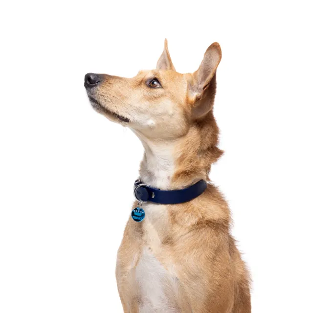 Gotoo! Collar Azul Deluxe Biothane Talla M