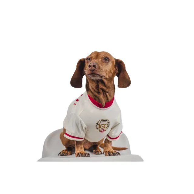 Camiseta oficial universitario Talla 6
