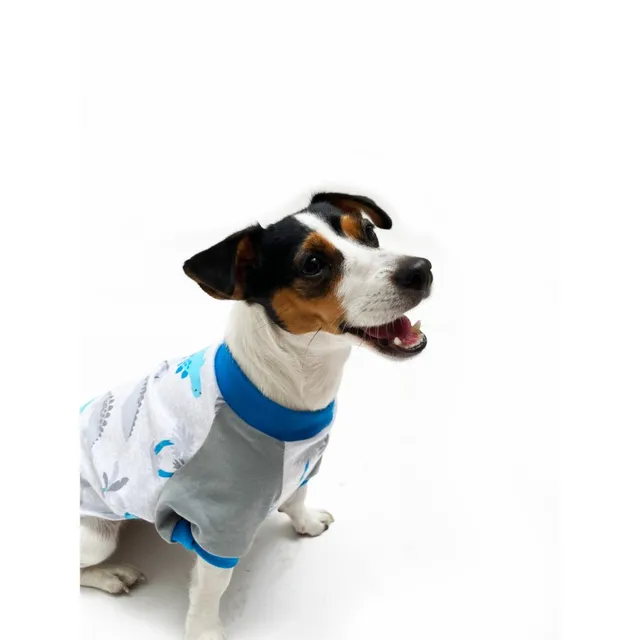 Yupi The Pug - Polo Surtido Macho Talla 4