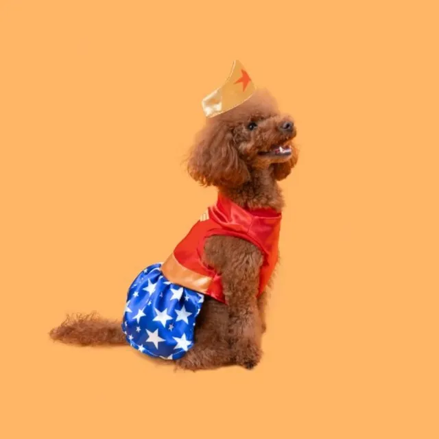 Disfraz Maravilla Dog Talla 7