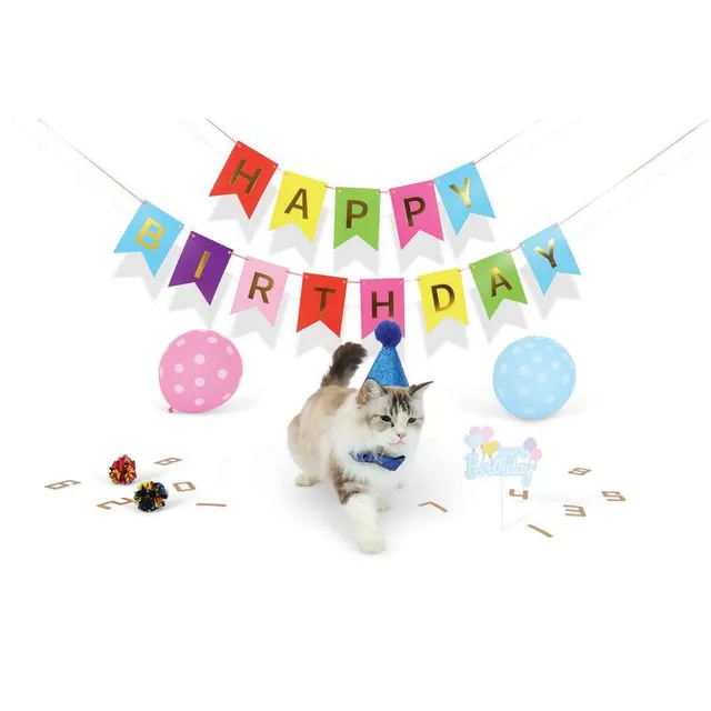 Petjoy Partytime Cat Gentleman'S Set