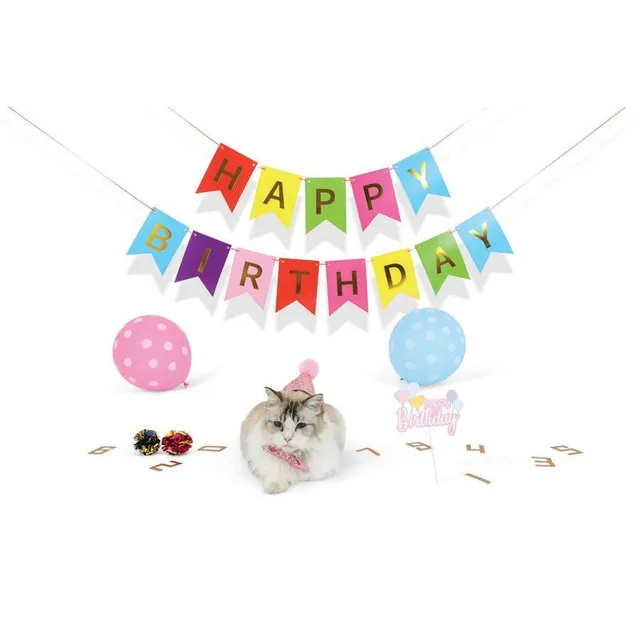 Petjoy Partytime Cat Lady'S Set