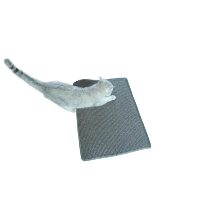 Mia Multi Functional Scratch Carpet