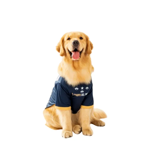 Camiseta Alianza Lima Oficial Colección 2025 Talla 7