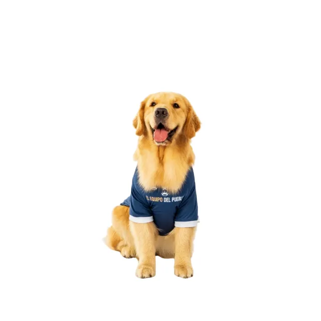 Camiseta Alianza Lima Alterna Colección 2025 Talla 8