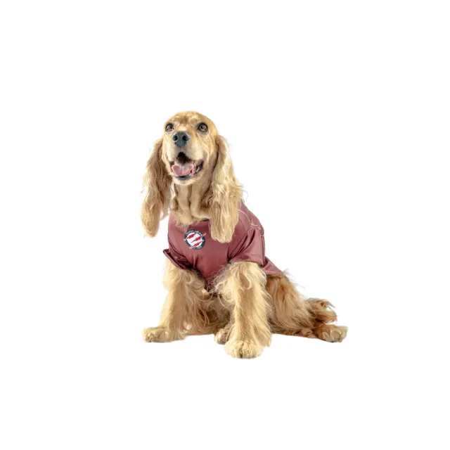 Camiseta Universitario Alterna Colección 2025 Talla 5
