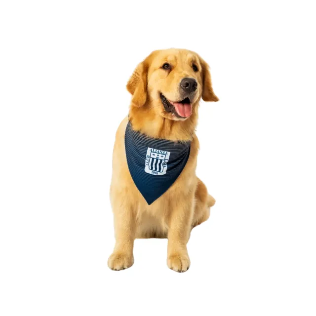 Bandana Oficial Alianza Lima Colección 2025 Talla M