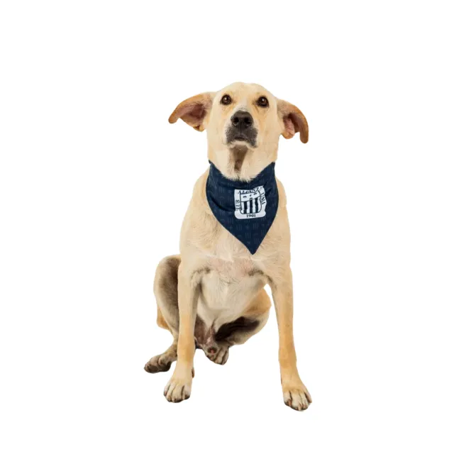Bandana Alterna Alianza Lima Colección 2025 Talla XL