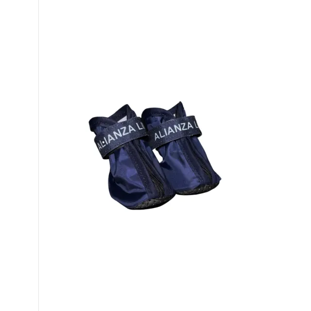 Zapato Oficial Alianza Lima Talla S