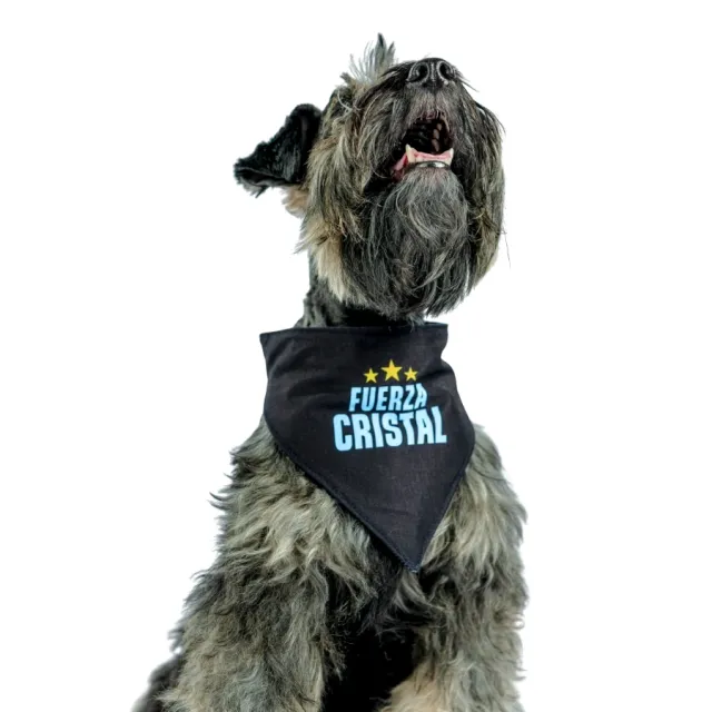 Bandana Alterna Sporting Cristal Colección 2025 Talla M