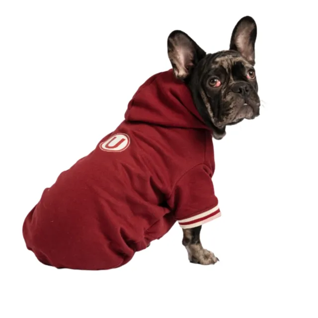 Polera Oficial Universitario 2026 Talla 8