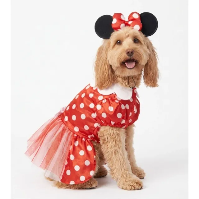 Disfraz Pets Disney Minnie Mouse Talla 4