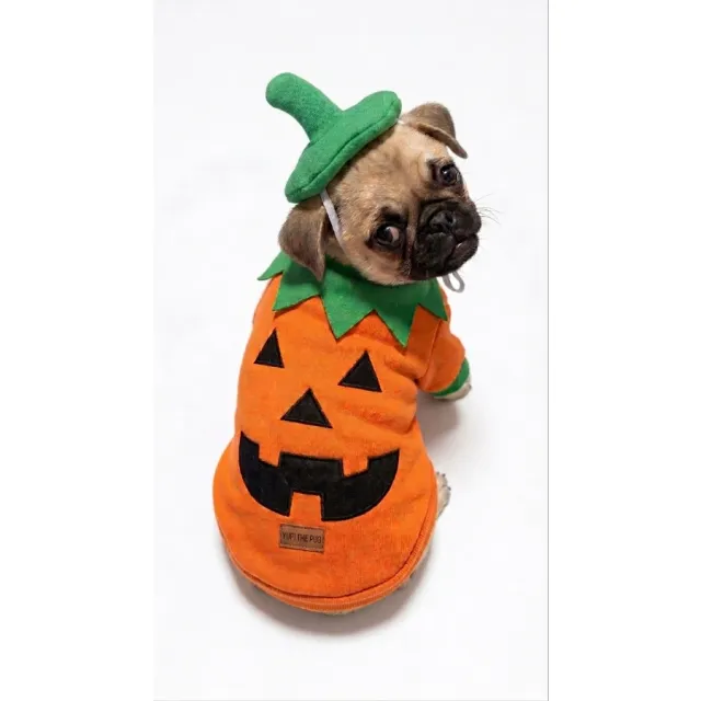 Yupi The Pug Disfraz Calabaza Talla 2