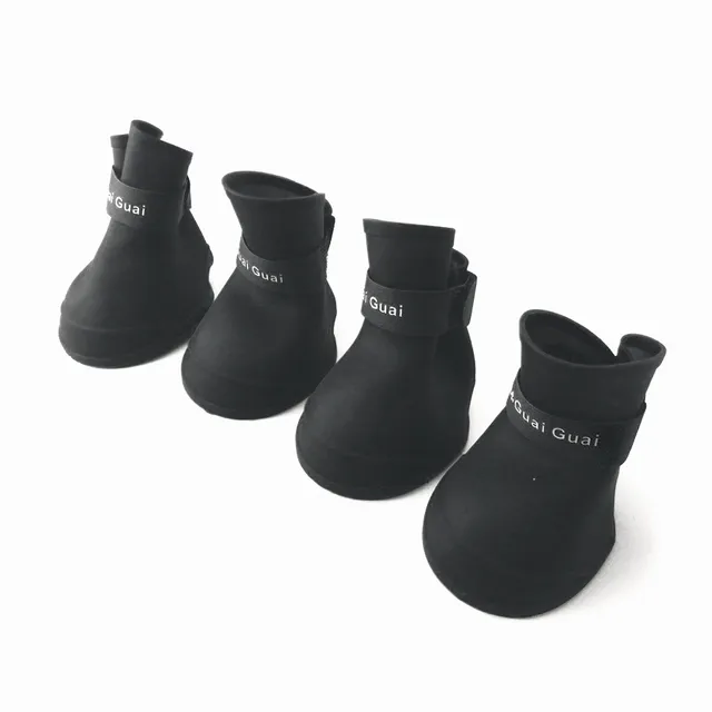 Zapatos para mascotas colores surtidos Talla S