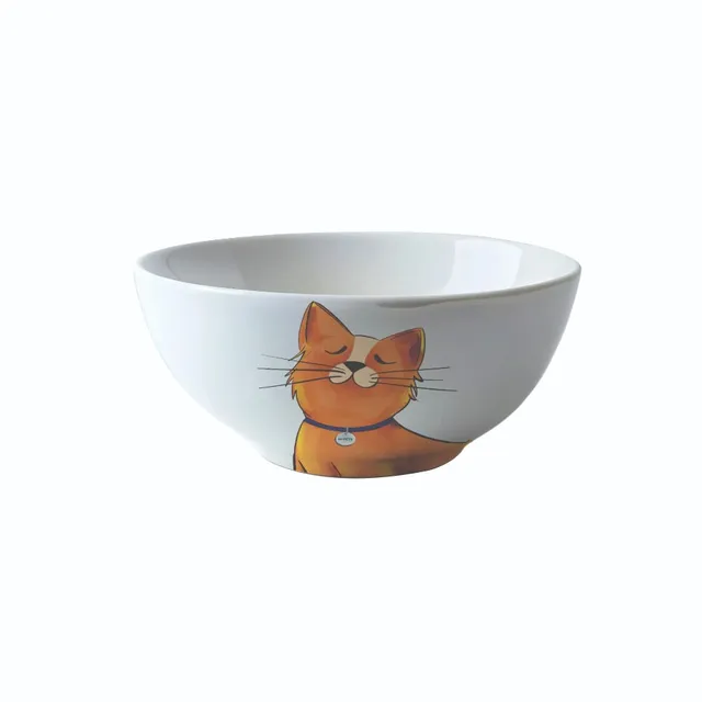 Petjoy Bowl Galya Bright 550 Ml