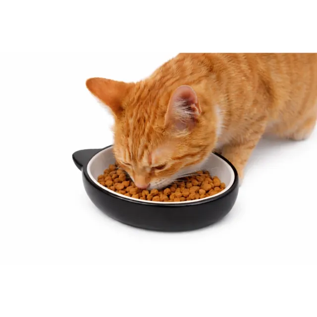 Tazón Cerámico Para Gato Leeby Verde Salvia