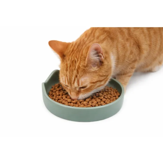 Plato Cerámico Para Gato Leeby